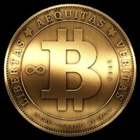 Gold Bitcoin Crypto Currency 16 in Basic Backpack