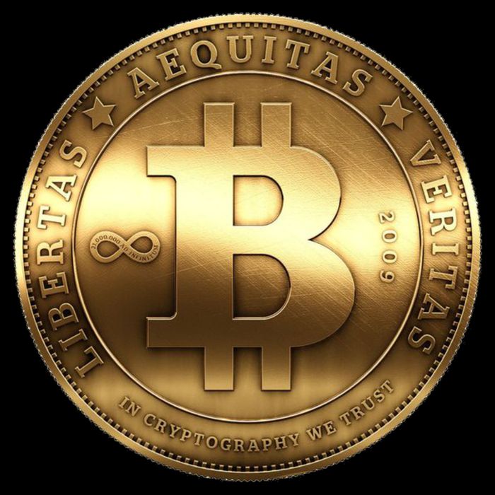 Gold Bitcoin Crypto Currency 16 in Basic Backpack