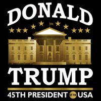 Gold White House Donald Trump 45th President 16 in Basic Backpack