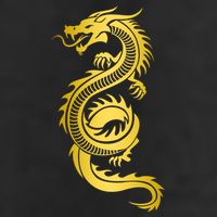 Golden Chinese Dragon Adult Drive Performance Visor