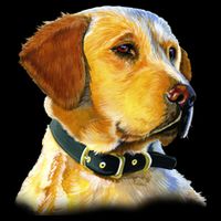 Golden Retriever Dog Portrait Baby Bodysuit