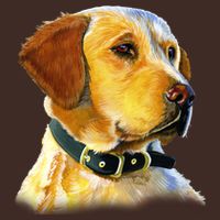 Golden Retriever Dog Portrait Cooling Performance Crew T-Shirt