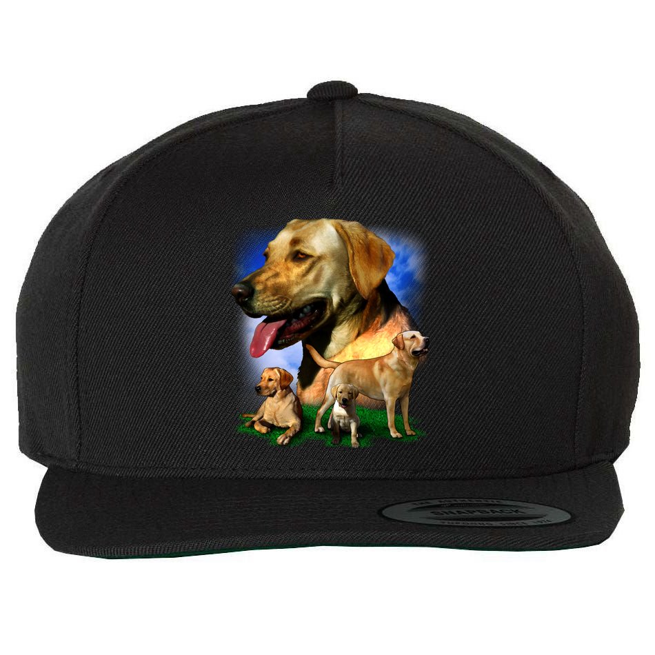 Golden Retriever Family Wool Snapback Cap