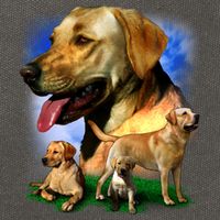 Golden Retriever Family Cotton Canvas Backpack
