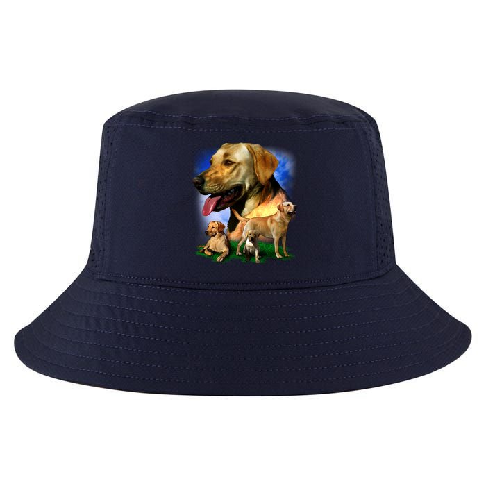 Golden Retriever Family Cool Comfort Performance Bucket Hat