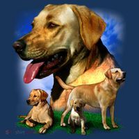 Golden Retriever Family Button
