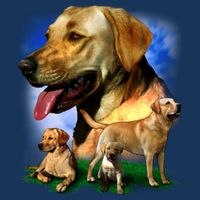 Golden Retriever Family Flat Bill Trucker Hat