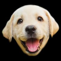 Golden Retriever Pup Face Drawstring Bag