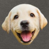 Golden Retriever Pup Face Cotton Canvas Backpack