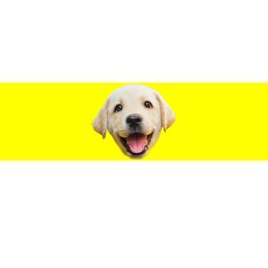 Golden Retriever Pup Face Bumper Sticker