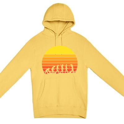 Golfer Evolution Sunset Premium Pullover Hoodie