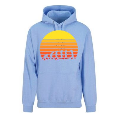 Golfer Evolution Sunset Unisex Surf Hoodie