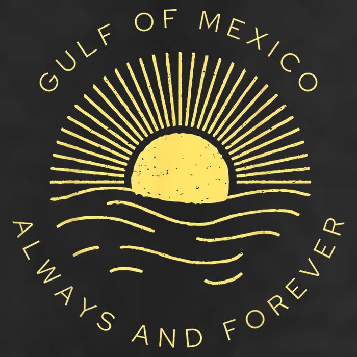 Gulf Of Mexico Always & Forever Vintage Sunset Political Hat