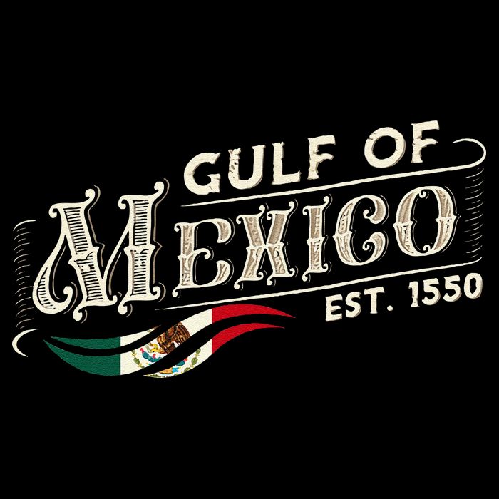 Gulf Of Mexico Est 1550 Retro Vintage Bucket Hat