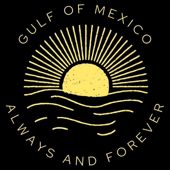 Gulf Of Mexico Always & Forever Vintage Sunset Political Toddler T-Shirt