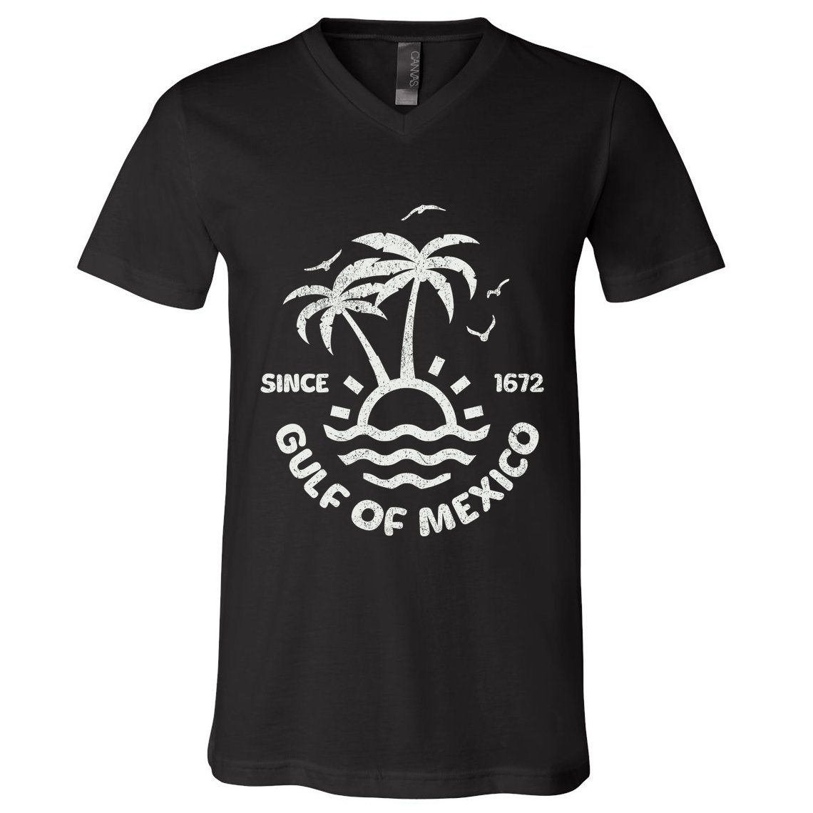 Gulf Of Mexico Forever Since 1672 Vintage Mexican Pride V-Neck T-Shirt