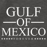 Gulf Of Mexico Forever Vector Backpack