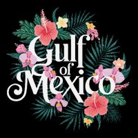 Gulf Of Mexico Gift Flag Beach Golfo De Mexico .Png 16 in Basic Backpack