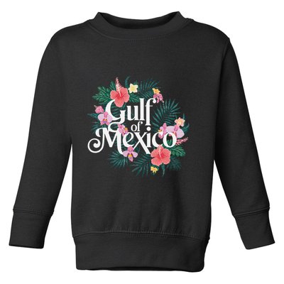 Gulf Of Mexico Gift Flag Beach Golfo De Mexico .Png Toddler Sweatshirt