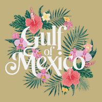 Gulf Of Mexico Gift Flag Beach Golfo De Mexico .Png Cooling Performance Crew T-Shirt
