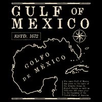 Gulf of Mexico Forever Retro Vintage Beach Women Doggie Tank