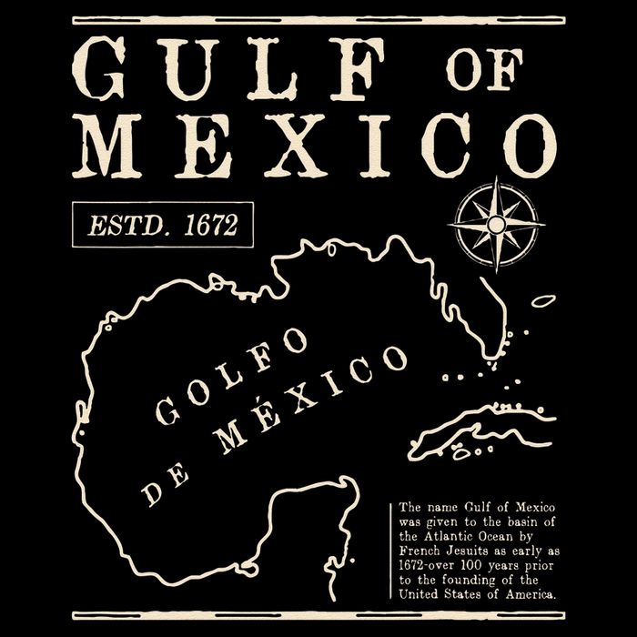 Gulf of Mexico Forever Retro Vintage Beach Women Doggie Tank