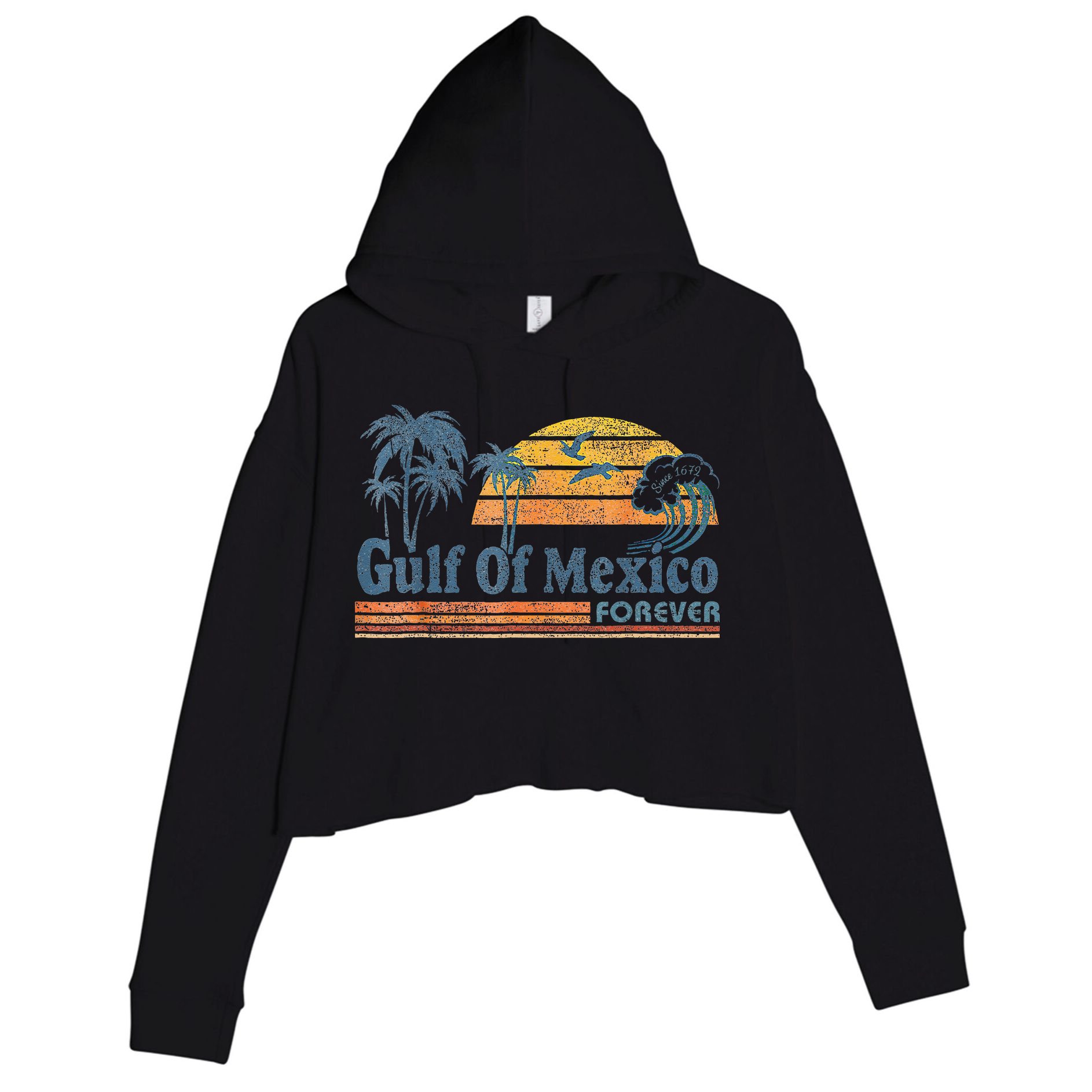 Gulf Of Mexico Forever Since 1672 Retro Vintage Beach Gulf Crop Fleece Hoodie