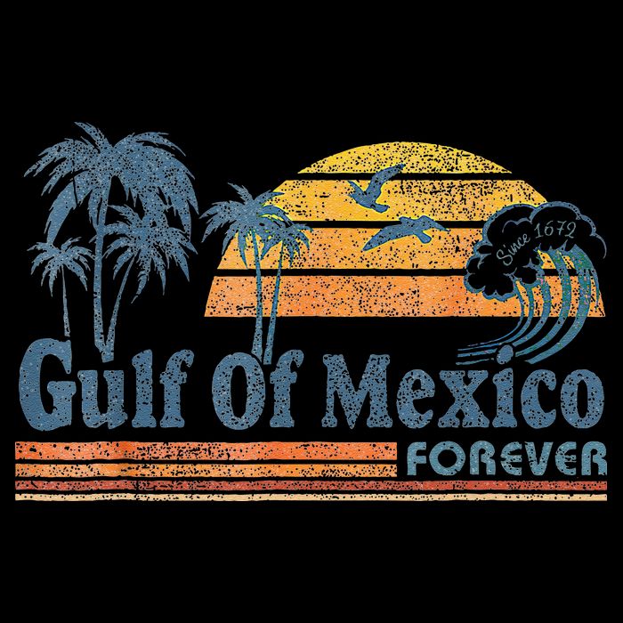 Gulf Of Mexico Forever Since 1672 Retro Vintage Beach Gulf Womens Tank Top