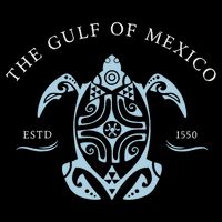 Gulf of Mexico Turtle Anti Trump Impact Tech Backpack