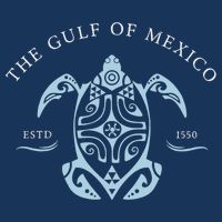 Gulf of Mexico Turtle Anti Trump T-Shirt