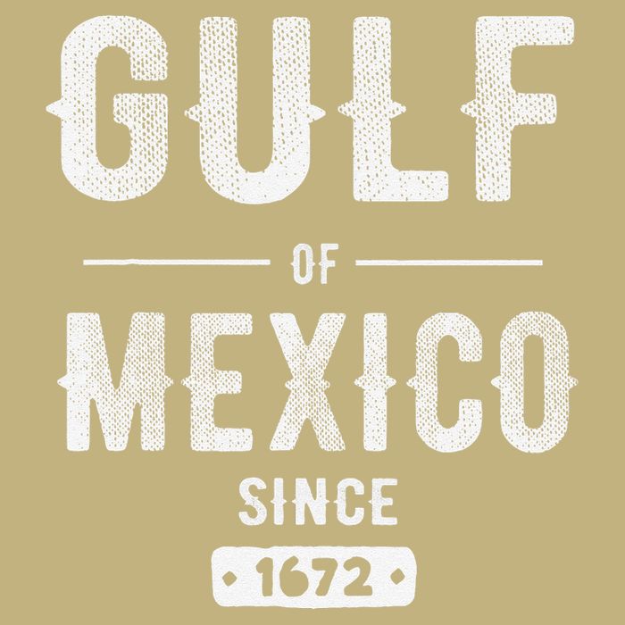 Gulf Of Mexico Since 1672 Cooling Performance Crew T-Shirt