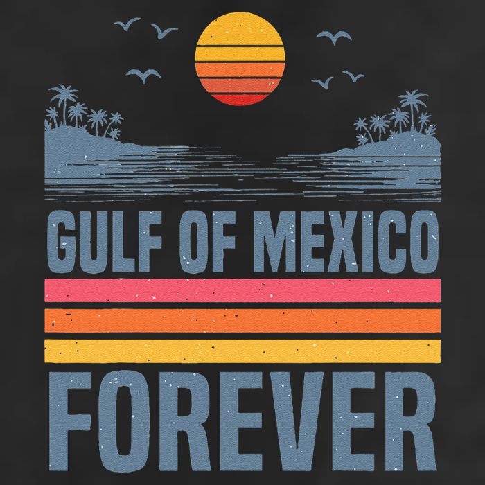 Gulf Of Mexico Since 1672 Retro Beach Gulf Of Mexico Forever 11oz C Handle Ceramic Mug