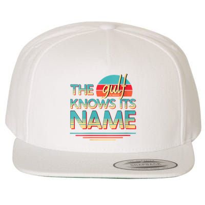 Gulf Of Mexico Knows Its Name Retro Opposition Design Vneck Wool Snapback Cap