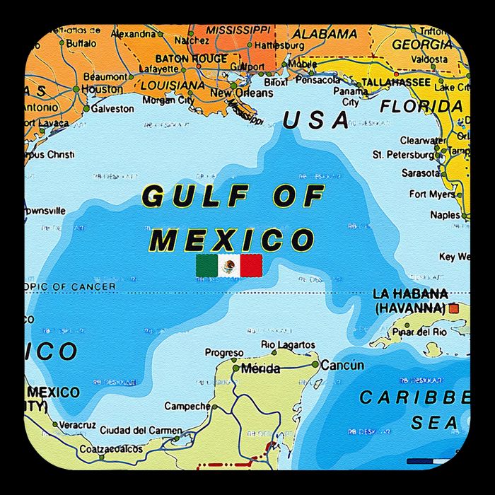 Gulf Of Mexico Map Flag Always Retro Vintage Mug