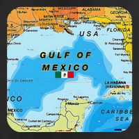 Gulf Of Mexico Map Flag Always Retro Vintage Golf Towel