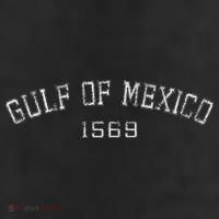 Gulf Of Mexico 1569 Historic Map 11oz C Handle Ceramic Mug