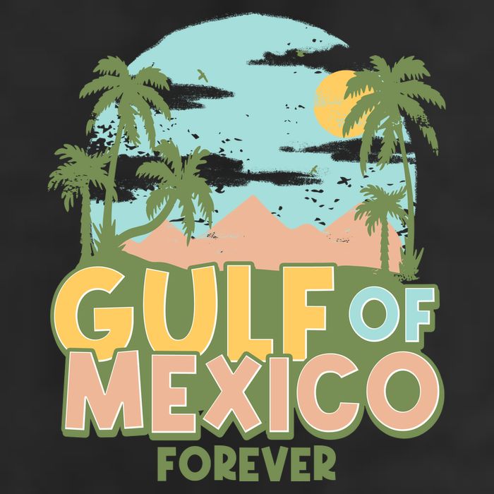 Gulf Of Mexico Forever Adult Drive Performance Visor