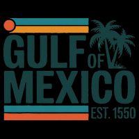 Gulf Of Mexico Est 1550 Retro Vintage Beach Gulf Of Mexico Pom Pom 12in Knit Beanie