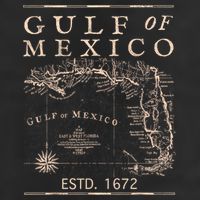 Gulf Of Mexico Since 1672 Historic Map Retro Gulf Beach 11oz C Handle Ceramic Mug