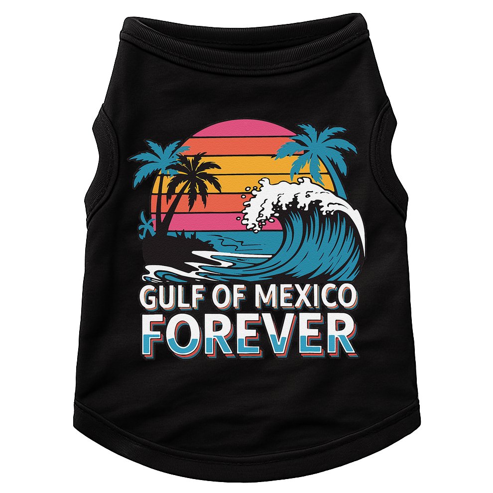 Gulf Of Mexico Oceanic Basin Tourist Spot Travel Doggie Tank