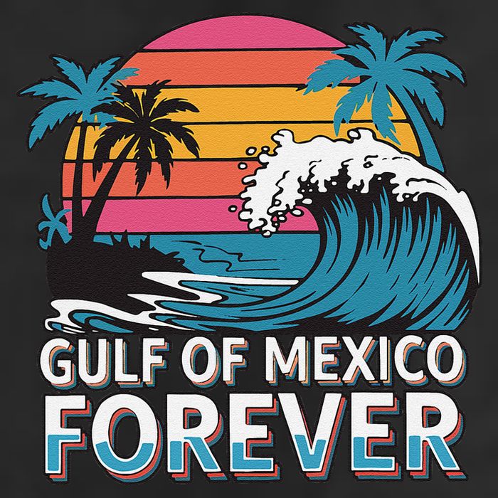 Gulf Of Mexico Oceanic Basin Tourist Spot Travel Adult Drive Performance Visor