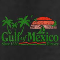 Gulf Of Mexico Since 1550 Adult Drive Performance Visor
