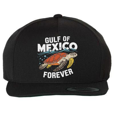 Gulf Of Mexico Forever Sea Turtle Wool Snapback Cap