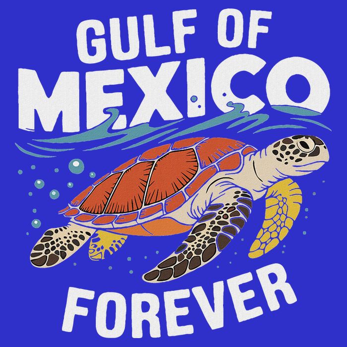 Gulf Of Mexico Forever Sea Turtle Button