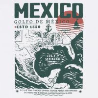 Gulf Of Mexico 1550 Historic Map Cooling Performance Crew T-Shirt