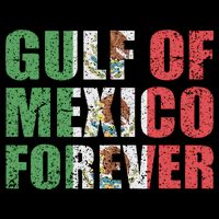 Gulf Of Mexico Forever Vintage Retro Mexican Womens Tank Top