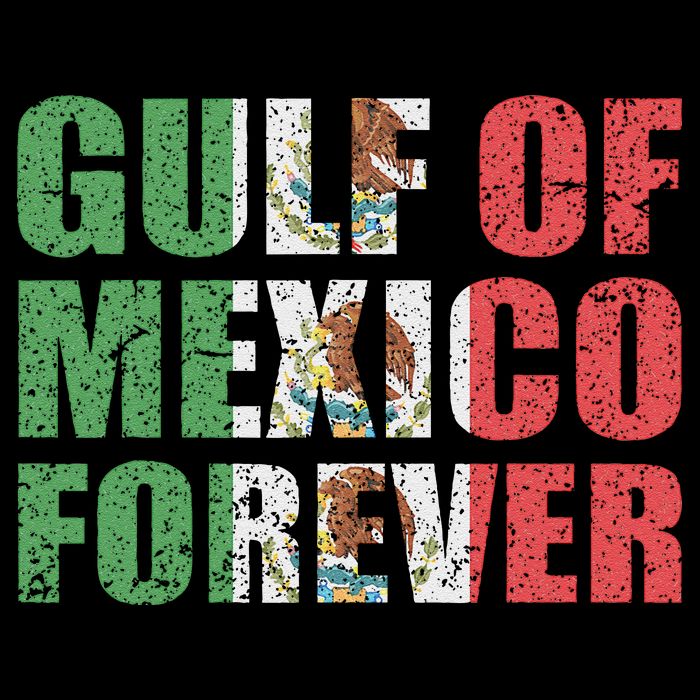 Gulf Of Mexico Forever Vintage Retro Mexican Womens Tank Top