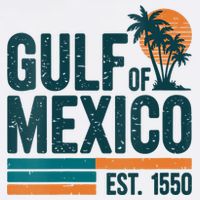 Gulf Of Mexico Est 1550 Retro Vintage Toddler T-Shirt