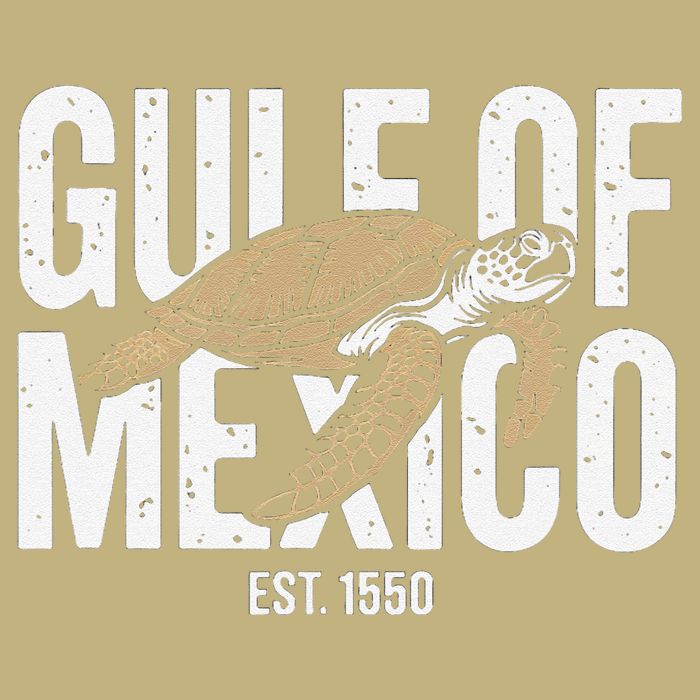 Gulf of Mexico with Turtle Hoodie