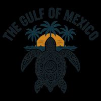 Gulf Of Mexico Est 1550 Forever Not US America With Turtle Toddler T-Shirt